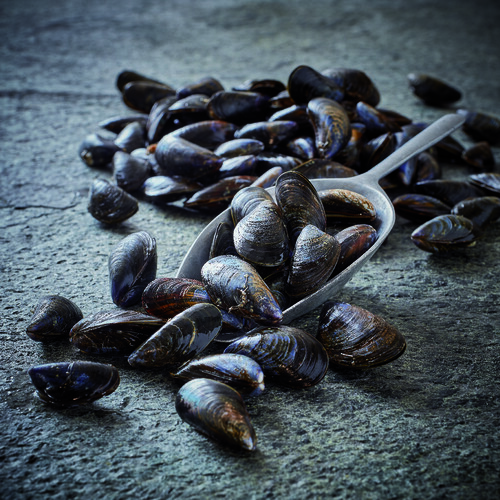 Moules de bouchot pac stg