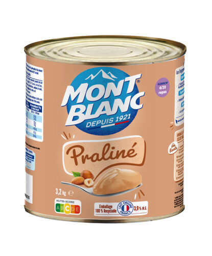 Crème dessert praliné