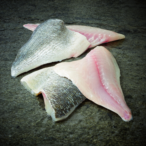 Barquette filet de dorade