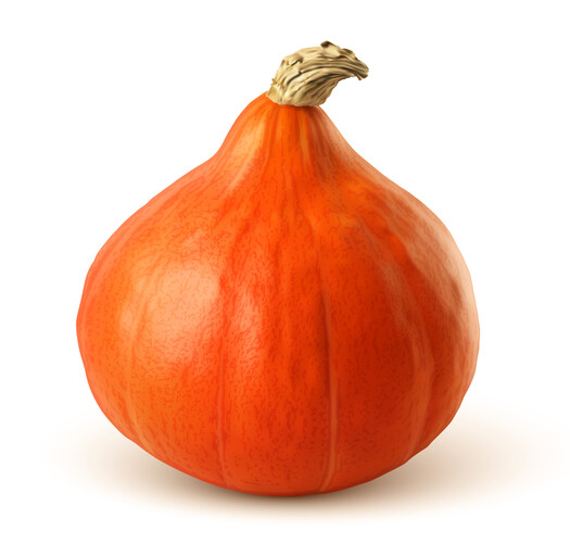 Courge potimarron bio