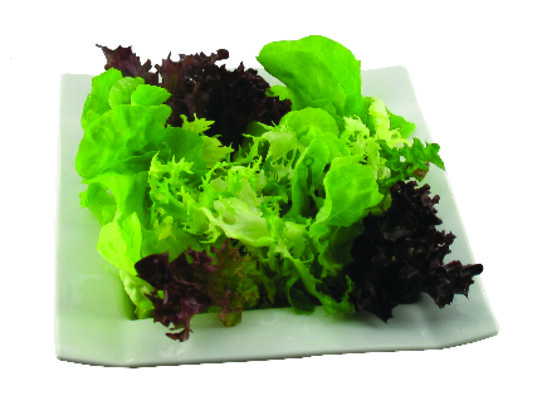 SALADE PANACHAT 500G