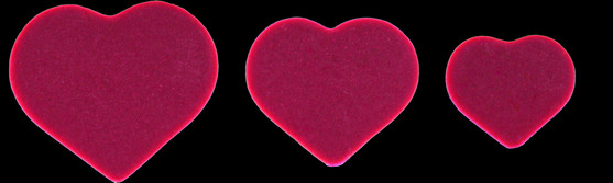 Décor beurre de cacao coeurs