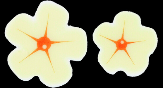 Décor chocolat blanc fleur