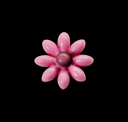 Décor beurre de cacao fleur