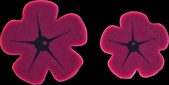 Décor beurre de cacao fleur