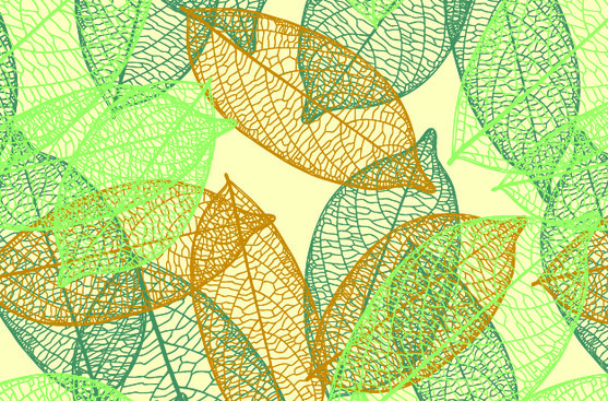 Transfert feuilles vertes
