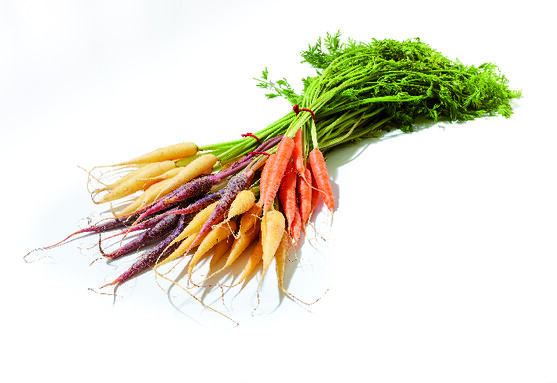 Carotte fane mixte mini