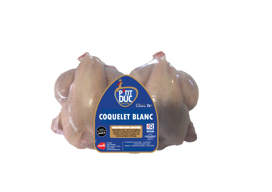 Coquelet blanc