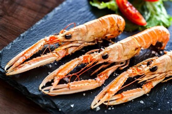 Langoustines cuites sous