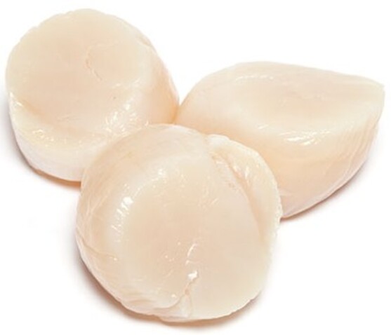 Noix de saint jacques