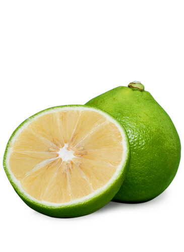 Citron bergamote castagnaro