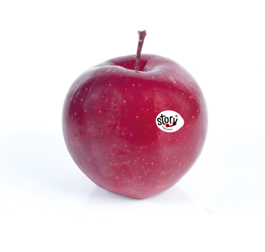 Pomme story 115/135 bio
