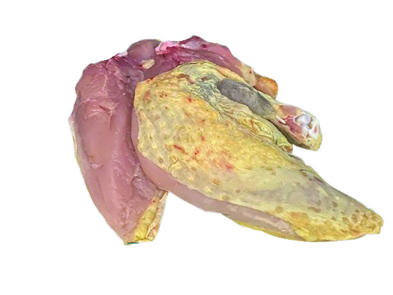 Suprême de pintade