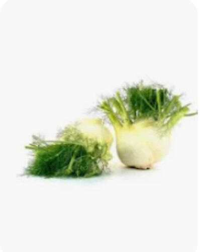 Mini fenouil