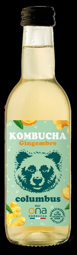 Kombucha gingembre