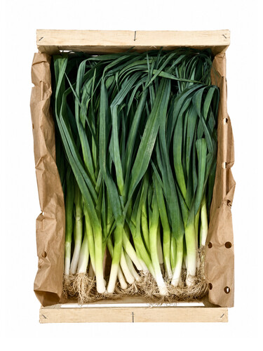 Poireau