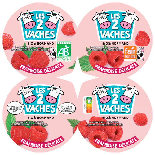Yaourt fruits framboise bio