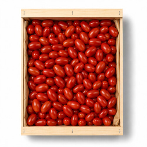 TOMATE CERISE ALLONGEE