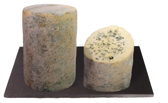 Fourme d'Ambert aop au lait cru 28 % m.g. 