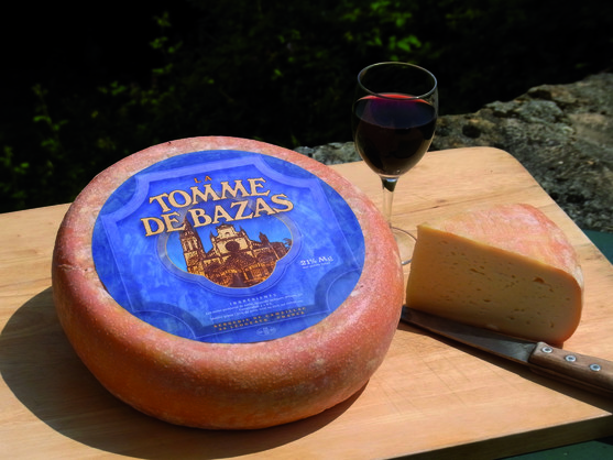 Tomme de bazas 31 % m.g.  