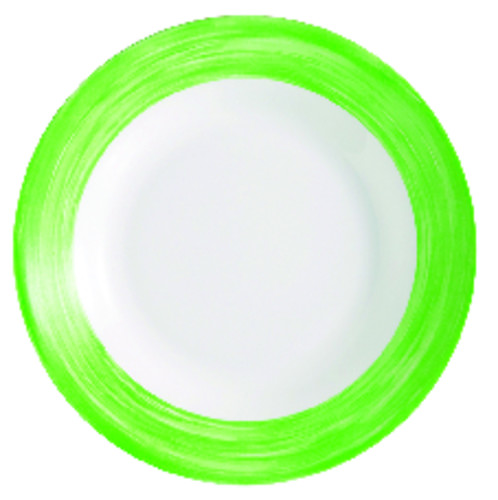 ASSIETTE BRUSH VERT D:195MM  