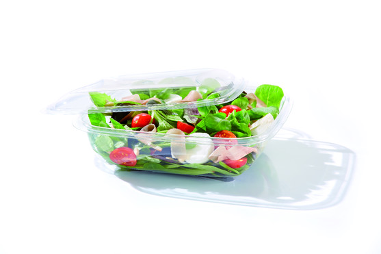 Boite salade carrée usage froid contenance 370 cc