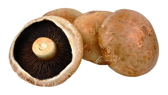 Champignon porto bello catégorie 1 - origine France colis de 2 kg