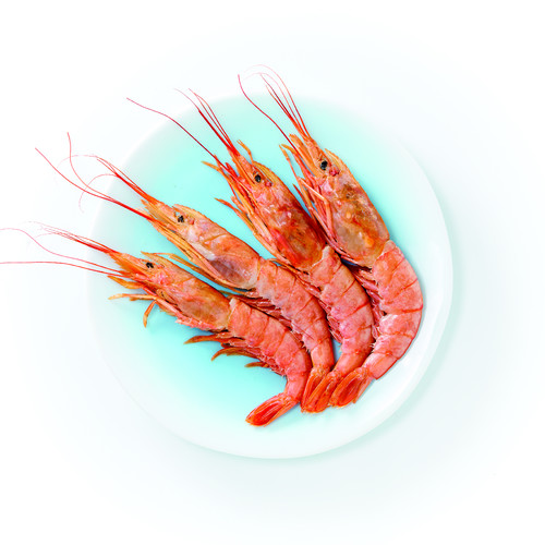 Gambas entière crue argentine sauvage 