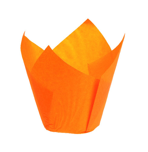 TULIPCUP ORANGE D50H80  