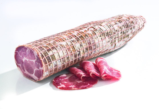Coppa sel sec boyau synthétique