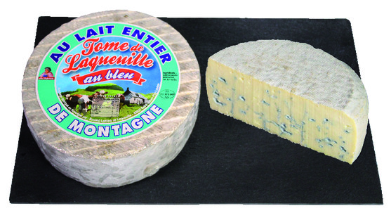 Bleu du Puy de Dôme lait pasteurisé 28% m.g 