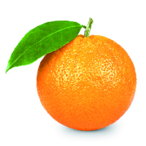 Orange navel 7 bio catégorie 2 