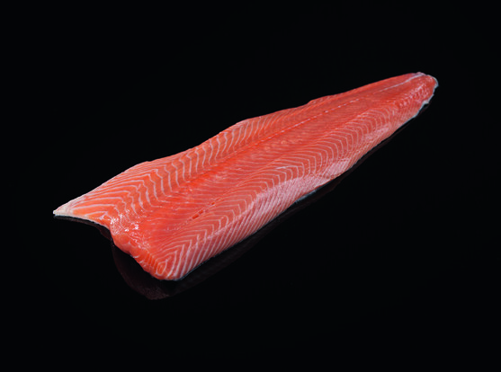 Filet de saumon trim-e élevage 