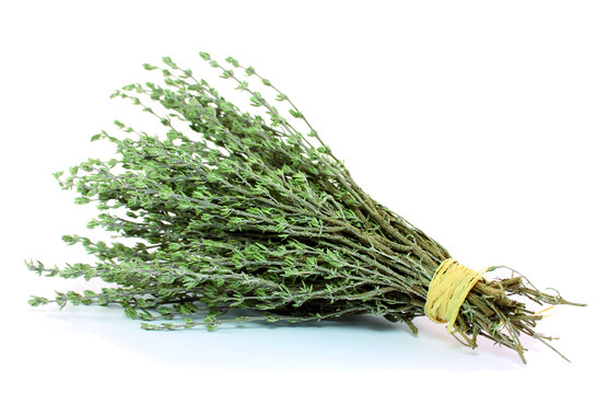 Thym frais  France