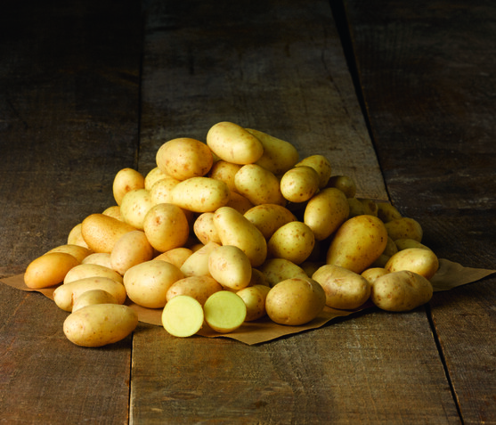 Pomme de terre gren.gourm.lavee 28/35 categorie 1