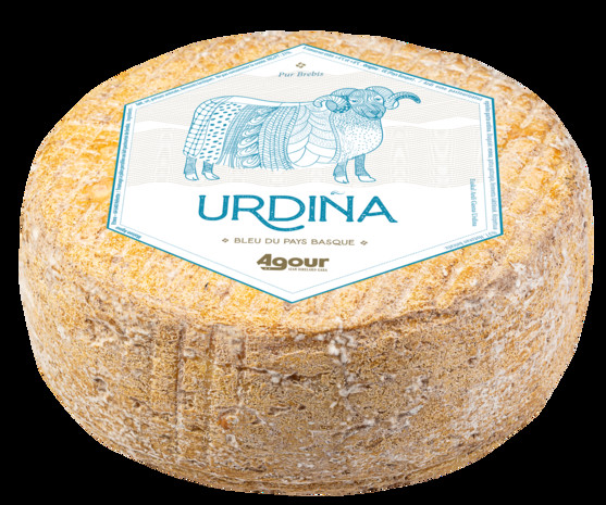 Urdina pur brebis bleu du pays basque 