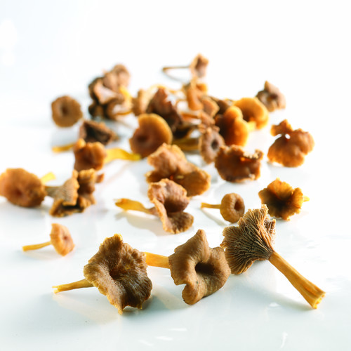 Champignon chanterelle grise catégorie 1 barquette de 250 g