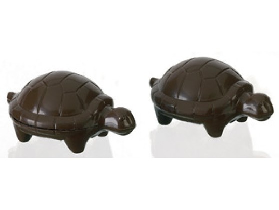 Moule tortue en polycarbonate 2 x 2 empreintes