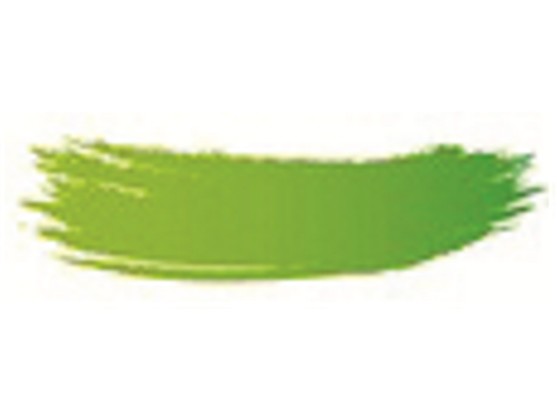 COLORANT POUDRE VERT 25GR  