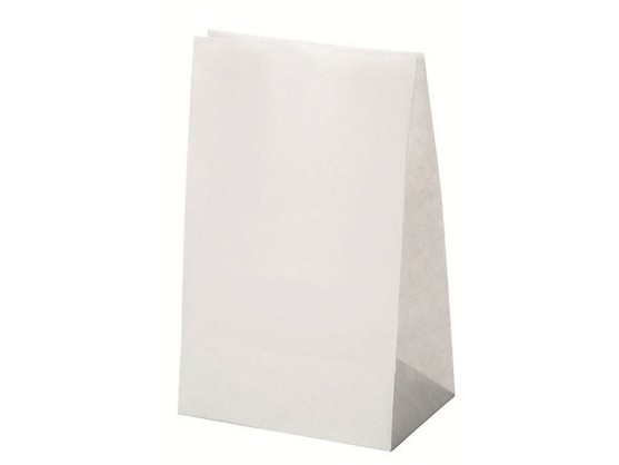 Sac en papier dimensions : 240x120mm colis de 1000