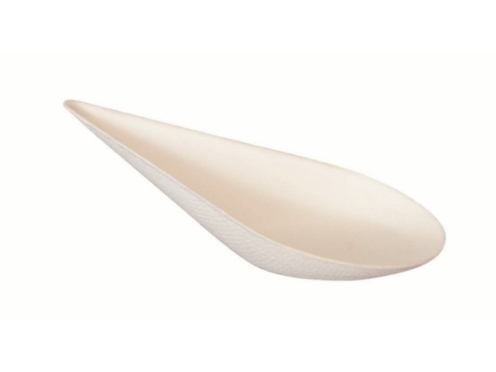 300 MISE EN BOUCHE SPOON FIBRE  
