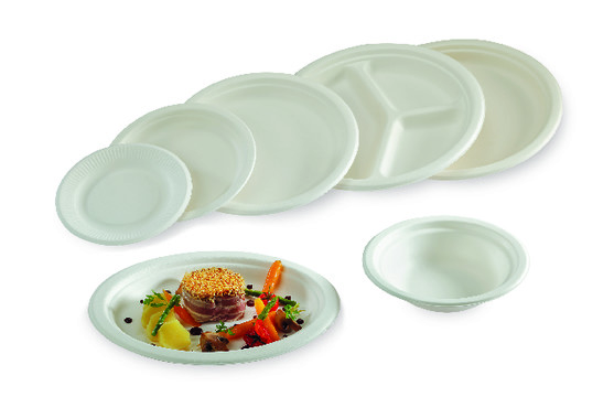 Assiette carrée fibre végétale diamètre260mm sachet de 50