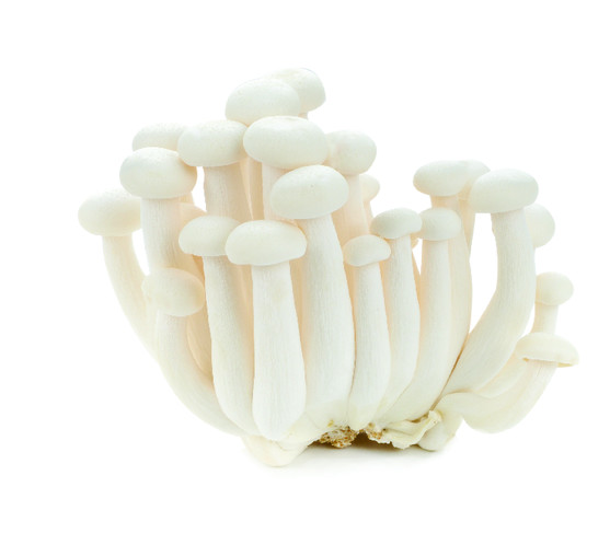 Champignon shimeji catégorie 1 barquette de 100 g