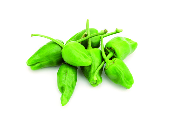 PADRON CATEGORIE 2 