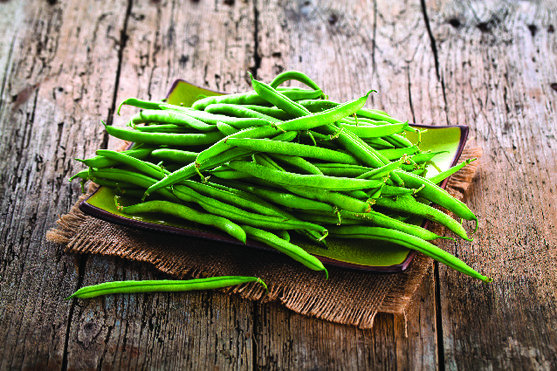 Haricot vert très fin cuit pays de la Loire 