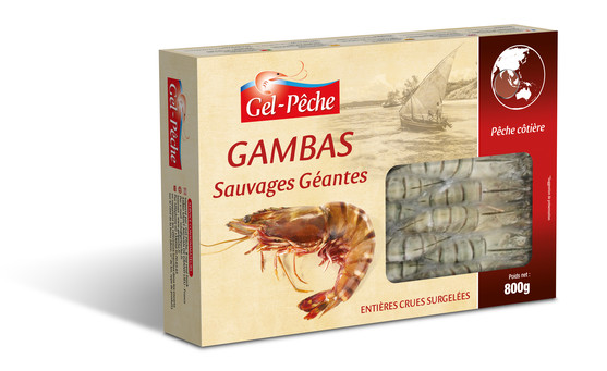 Gambas entière crue sauvage sea tiger 