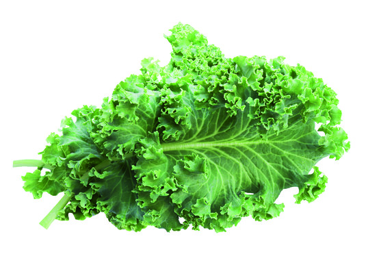 Chou curly kale vert catégorie 1 France