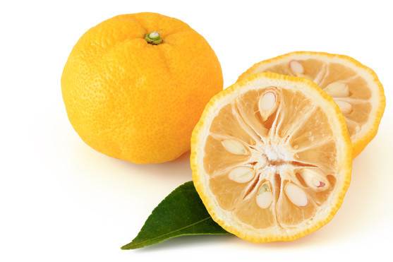 Citron yuzu catégorie 1 