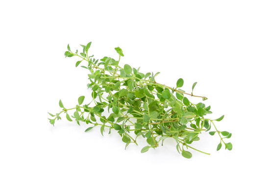 Thym citron botte catégorie 1 botte de 30 g