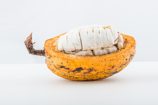 Cabosse cacao 500g catégorie 1 colis de 6 fruits